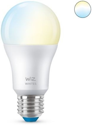 WiZ LED žárovka E27 8718699787035