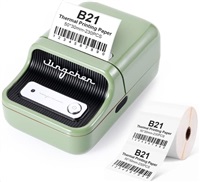 NIIMBOT Niimbot Tiskárna štítků B21 Smart, zelená + role štítků