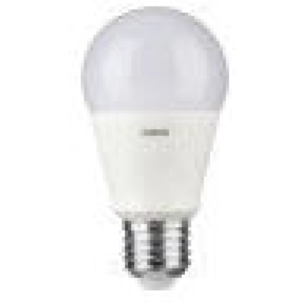 PHILIPS Phil-LED100WE27WWG93 LED Globe 1