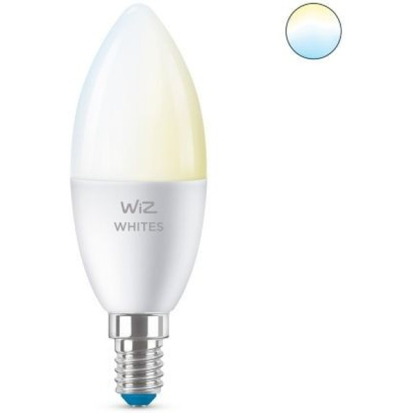 WiZ LED žárovka E27 8718699787073