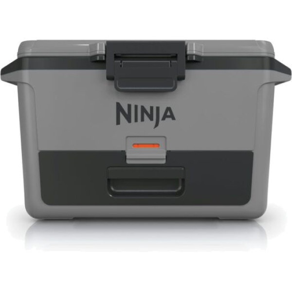 Ninja FB151EUGY Frost Vault 47l