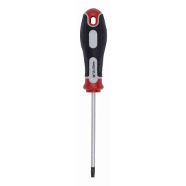 Šroubovák TORX T25X100