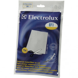 EF1 MOTOROVÝ FILTR(900034312) ELECTROLUX