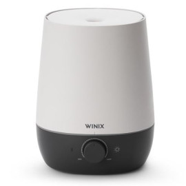 Winix L61