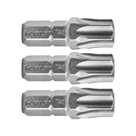 Hrot TORX, sada 3ks, T 45x25mm, S2