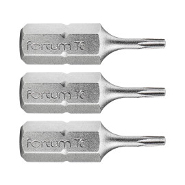 Hrot TORX, sada 3ks, T 6x25mm, S2