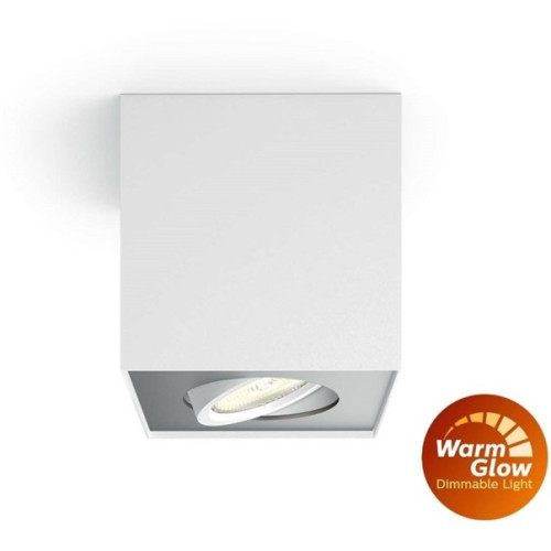 Philips Box 50491/31/P0