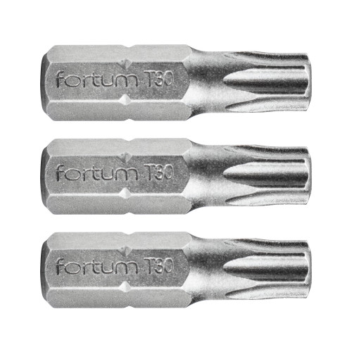 Hrot TORX, sada 3ks, T 30x25mm, S2