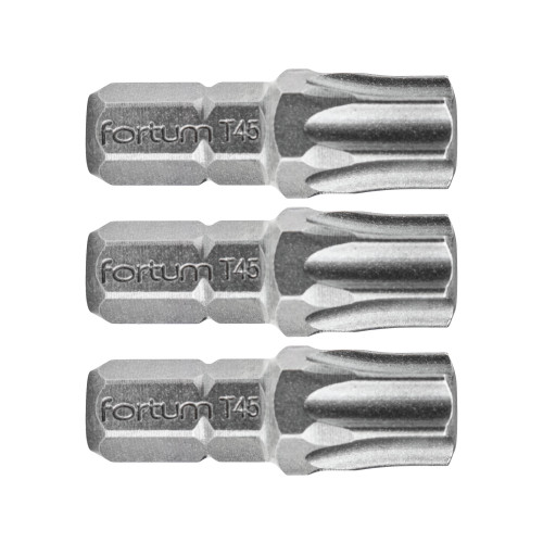 Hrot TORX, sada 3ks, T 45x25mm, S2