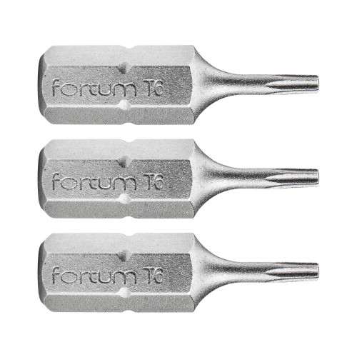Hrot TORX, sada 3ks, T 6x25mm, S2
