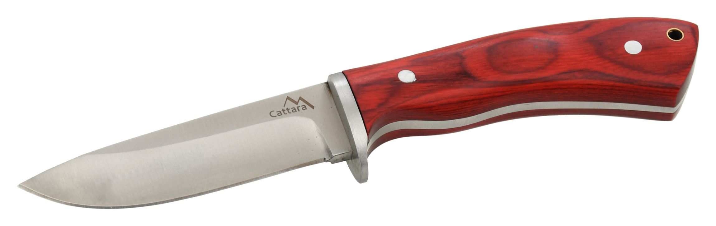 CATTARA Nůž Cattara TRAPPER s koženým pouzdrem 21cm