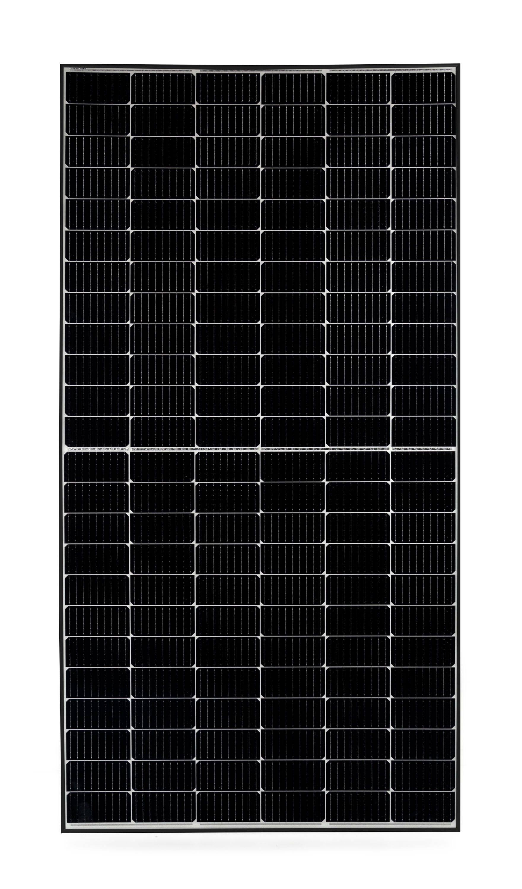 Image1
