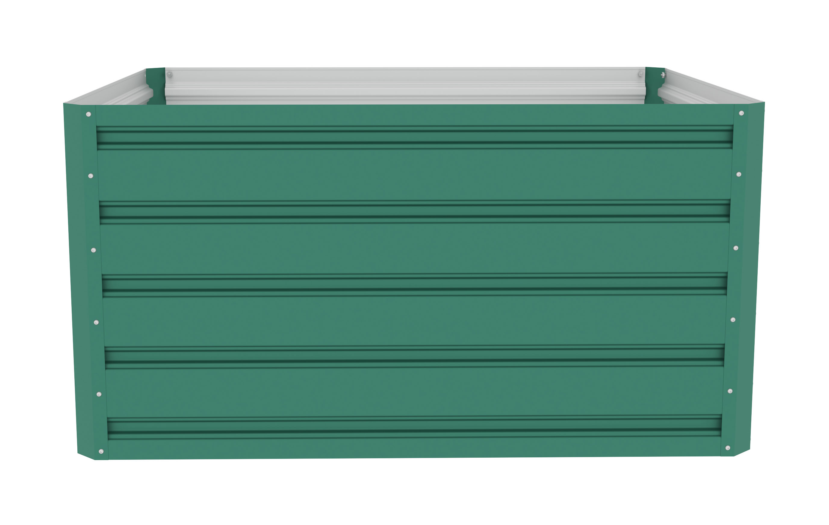 Image1