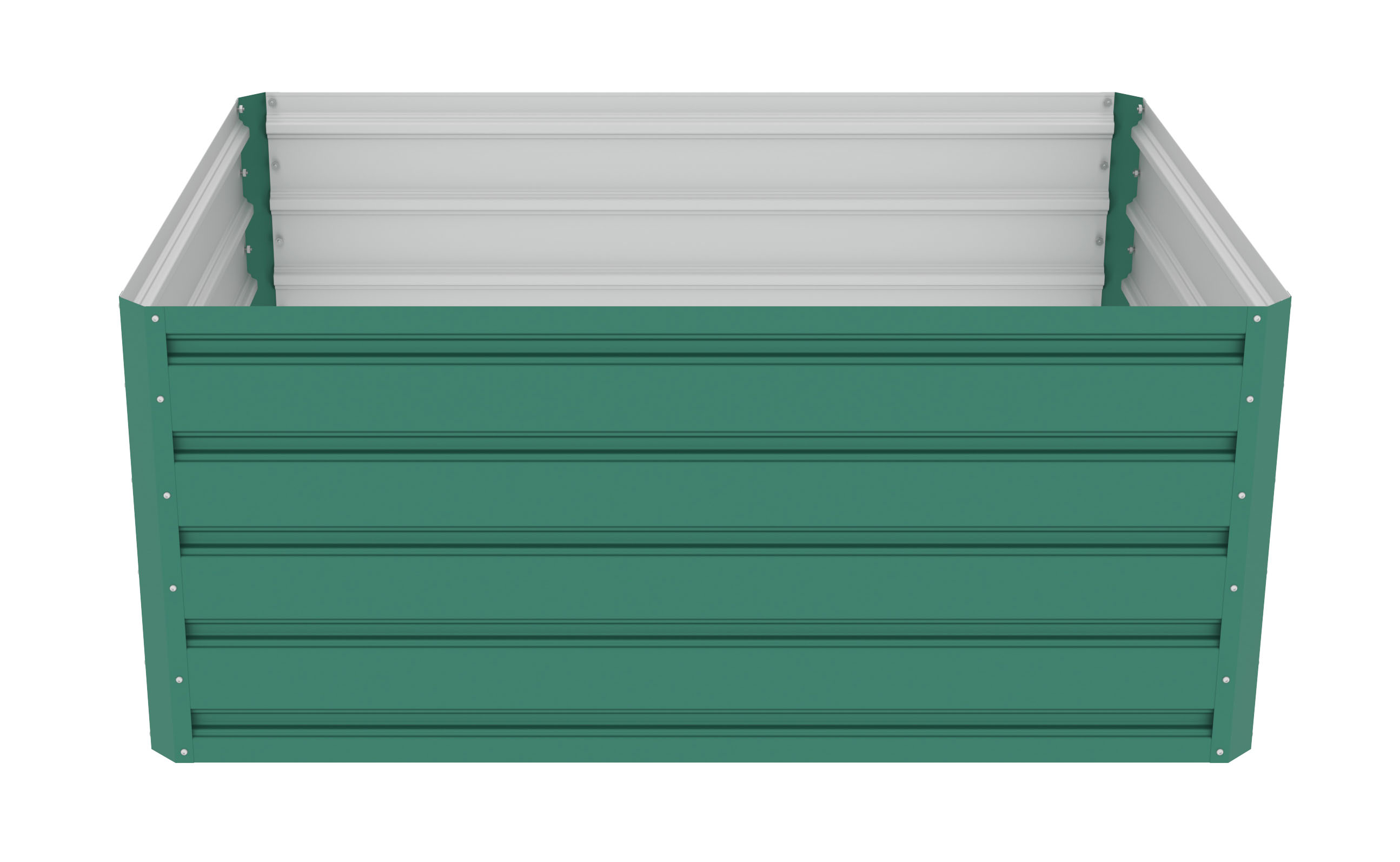 Image1