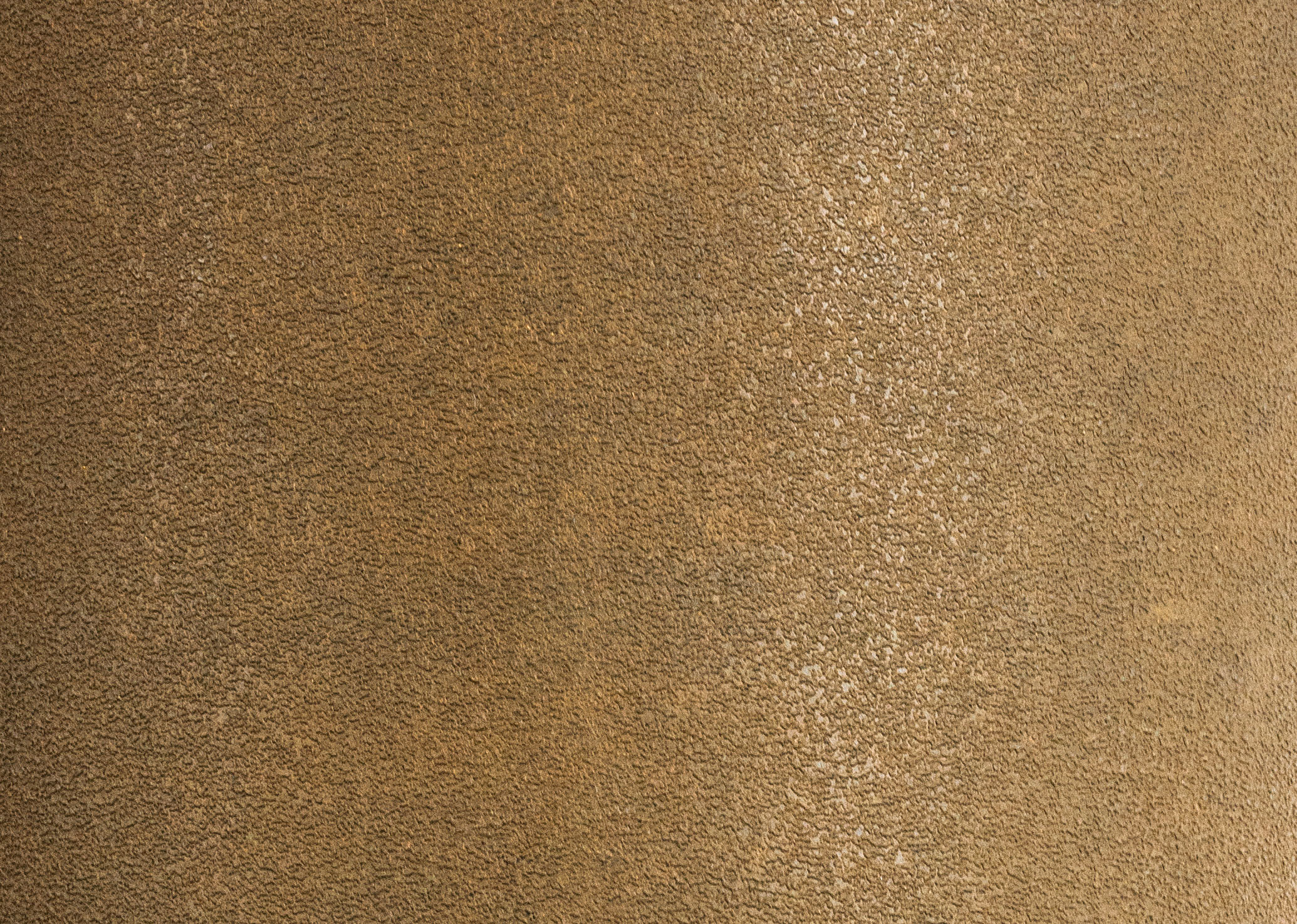 Image1