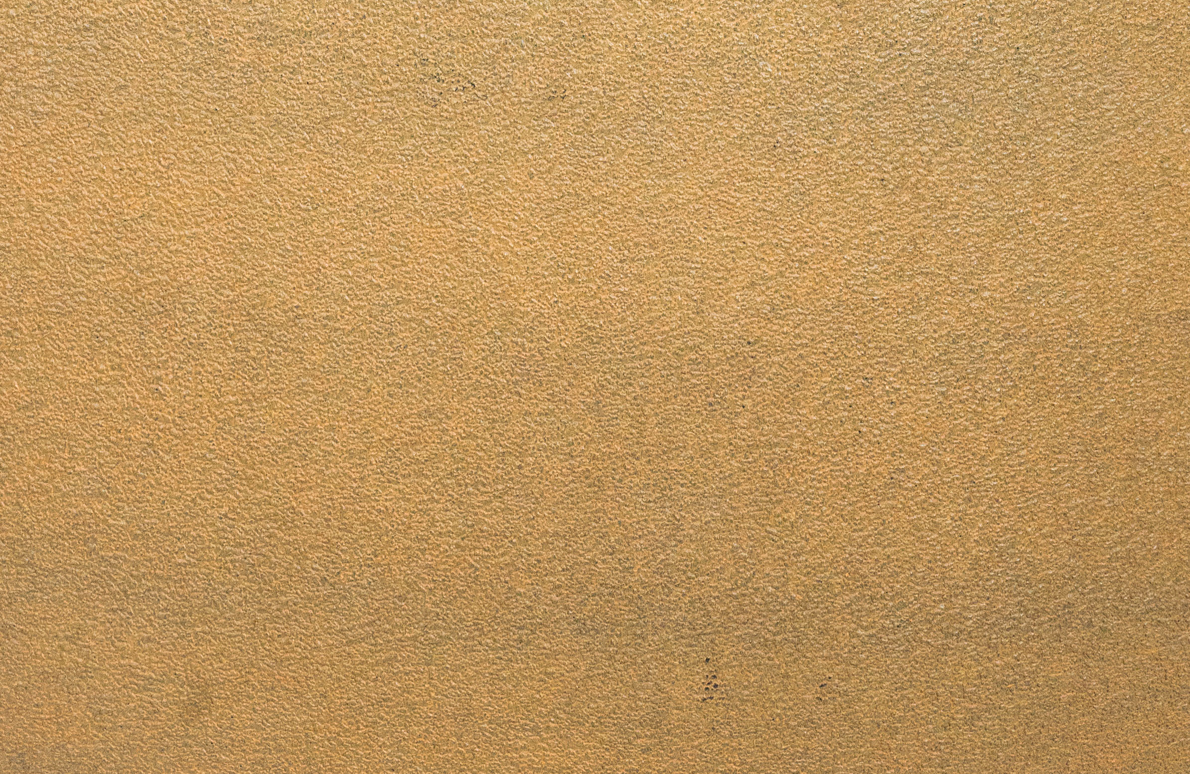 Image1
