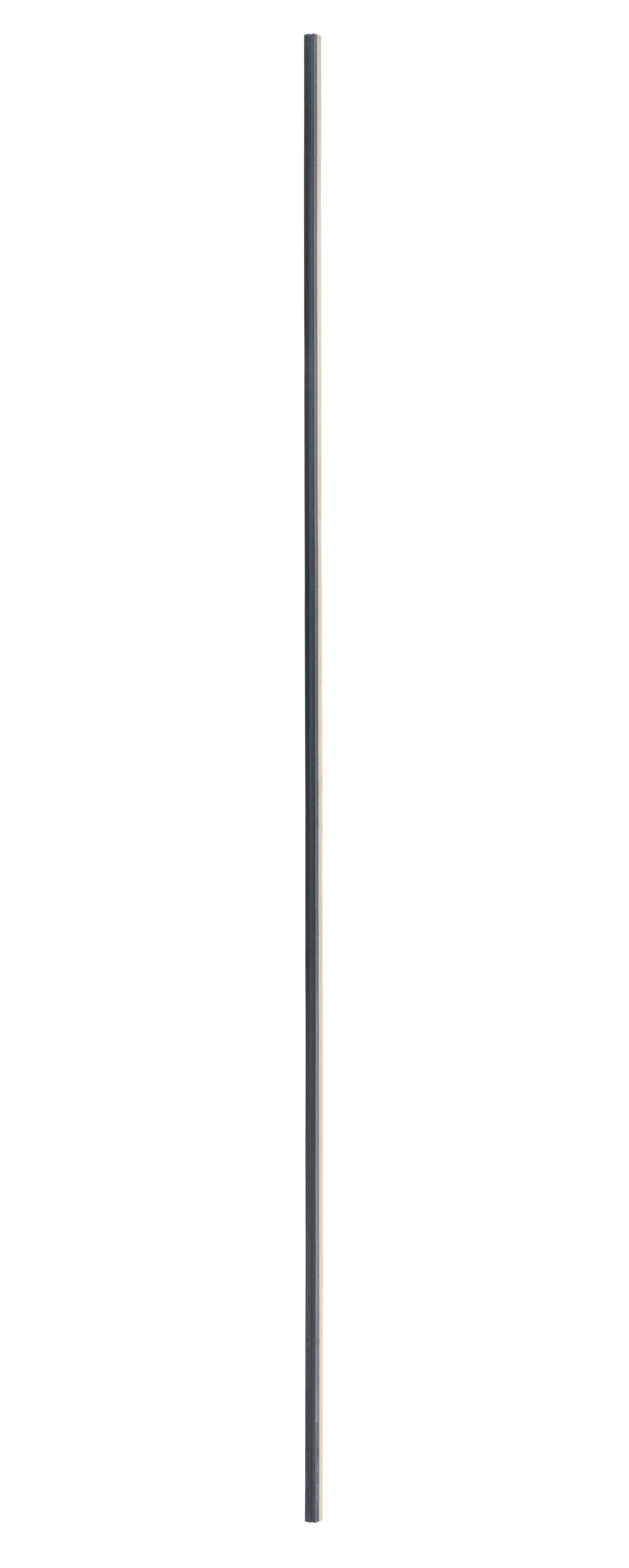 Image1