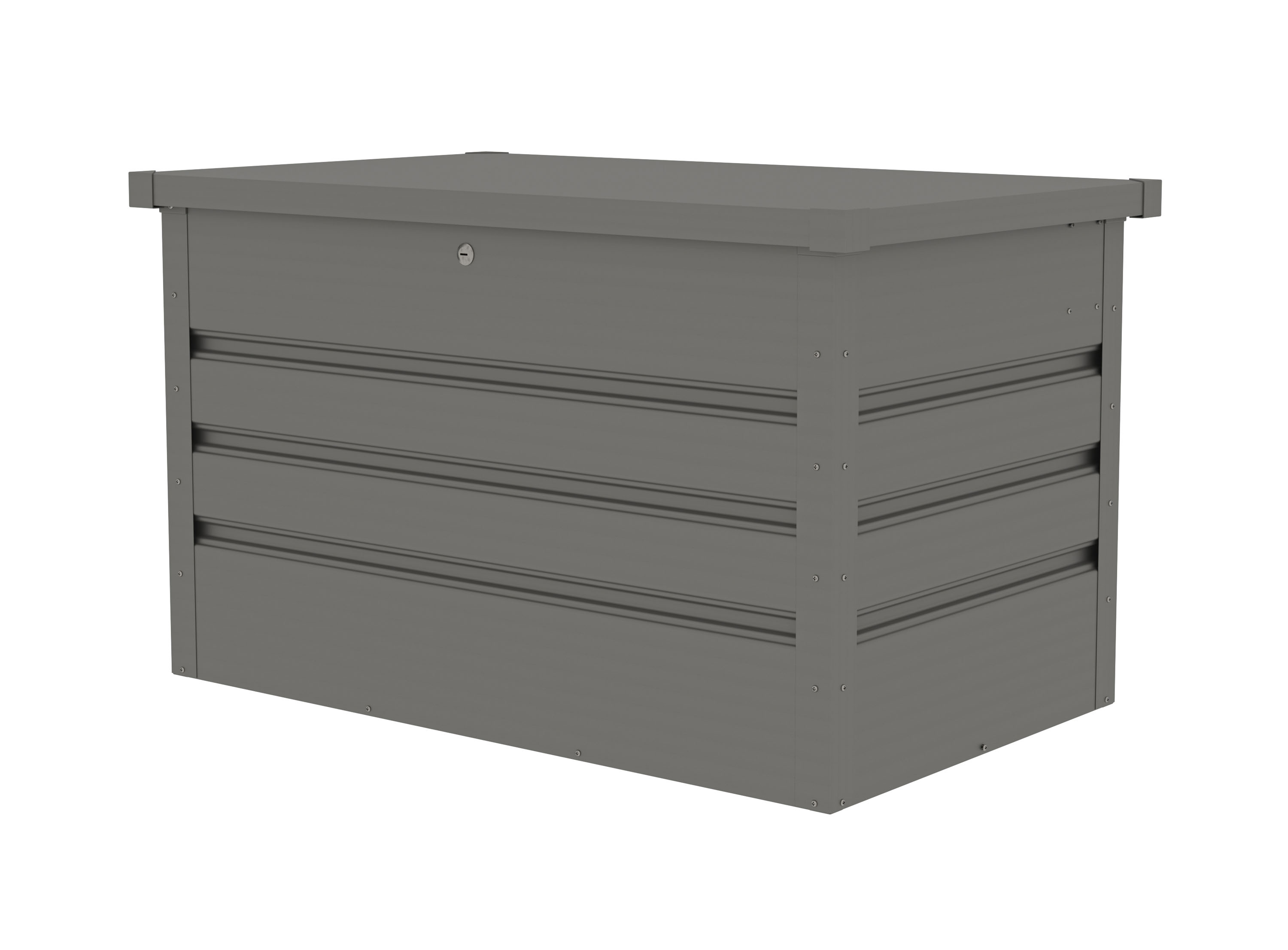 Image1