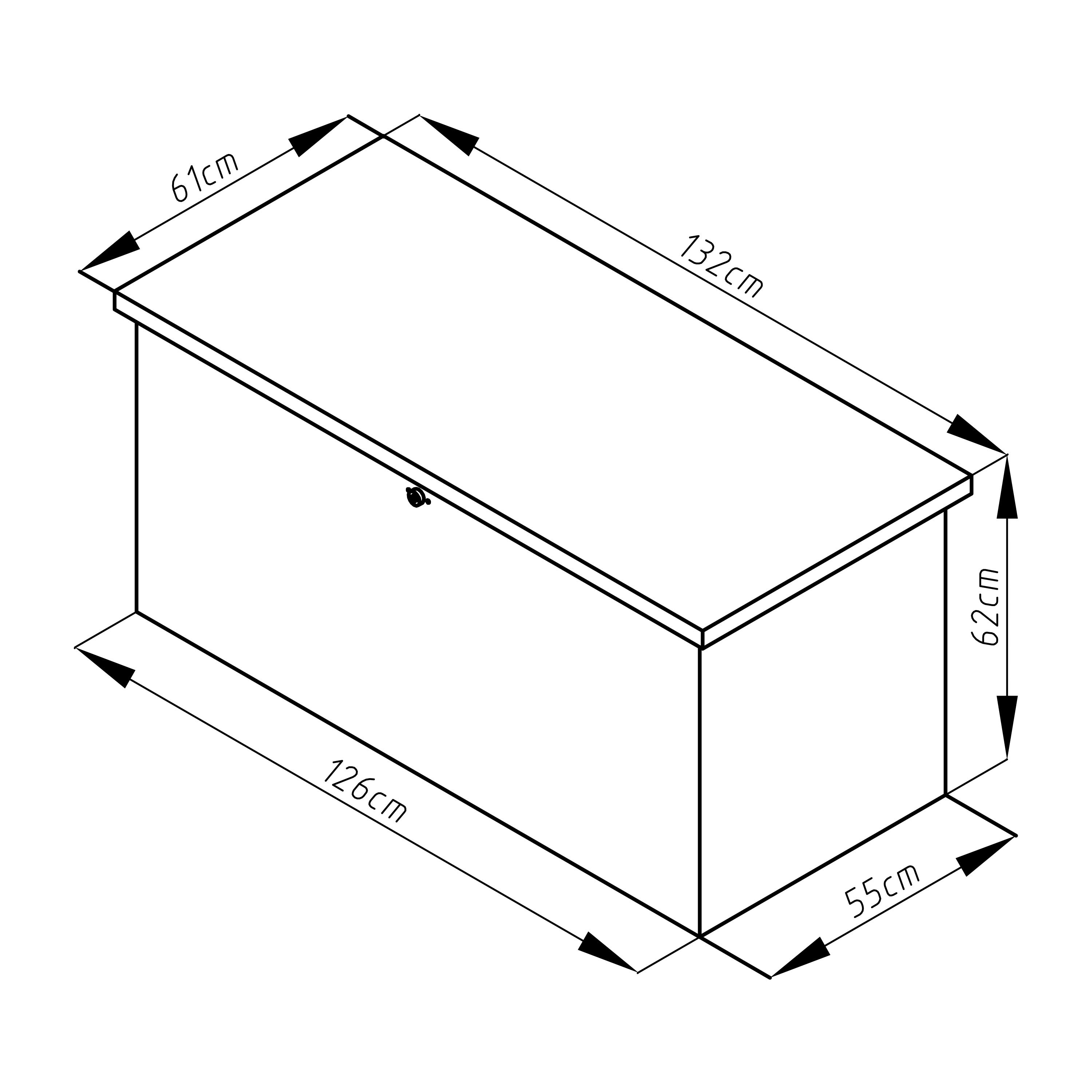 Image1