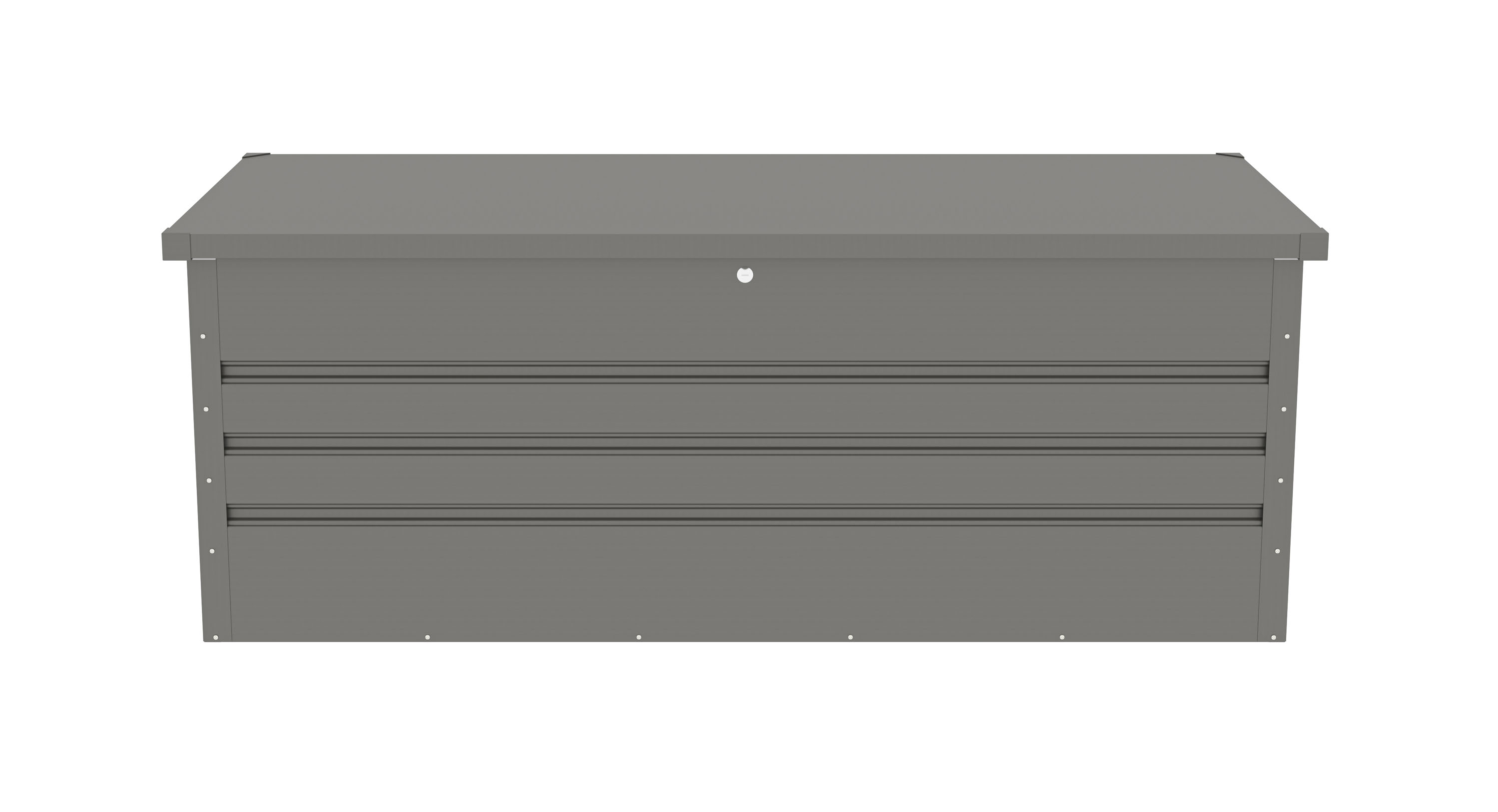 Image1