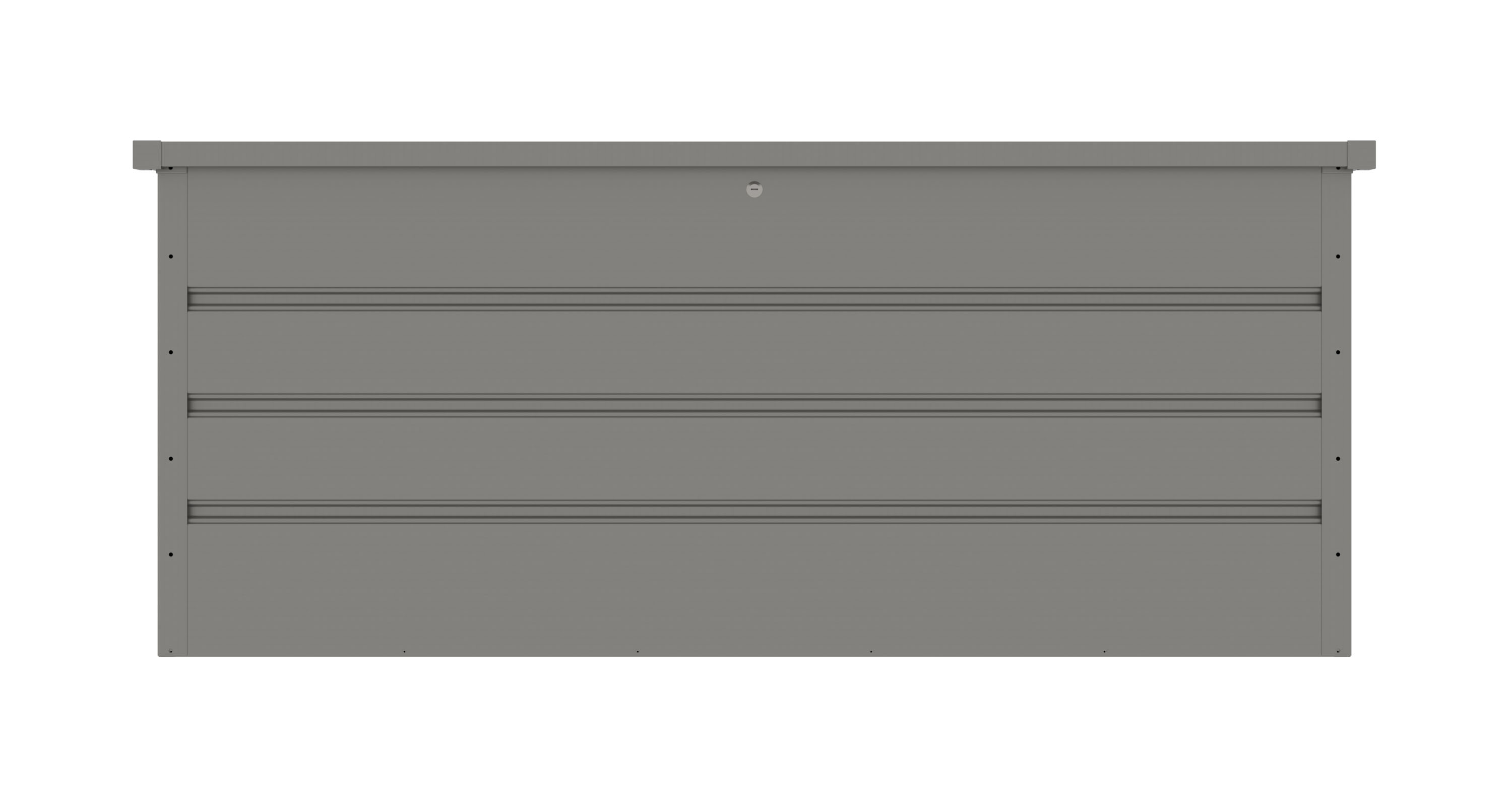 Image1