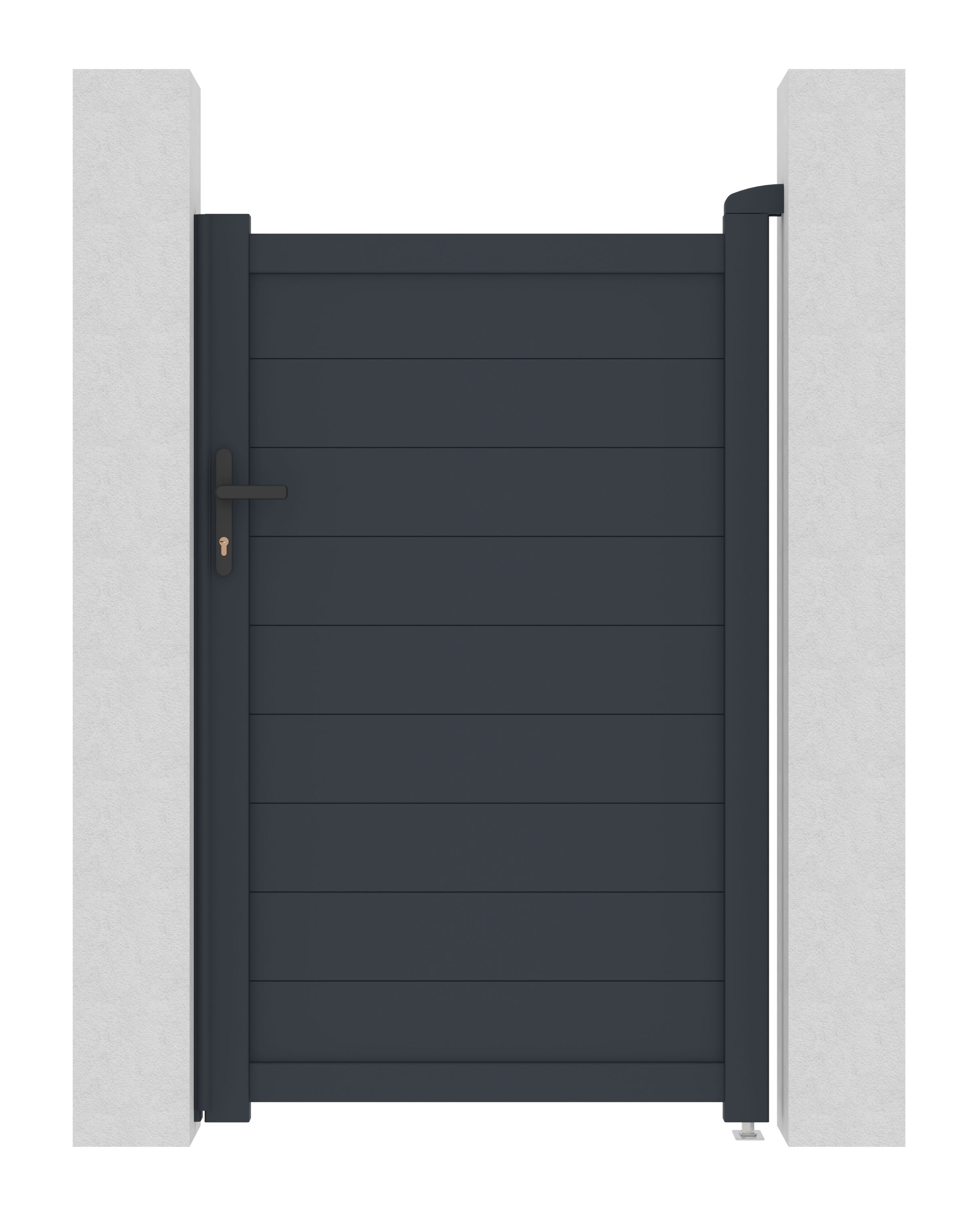 Image1