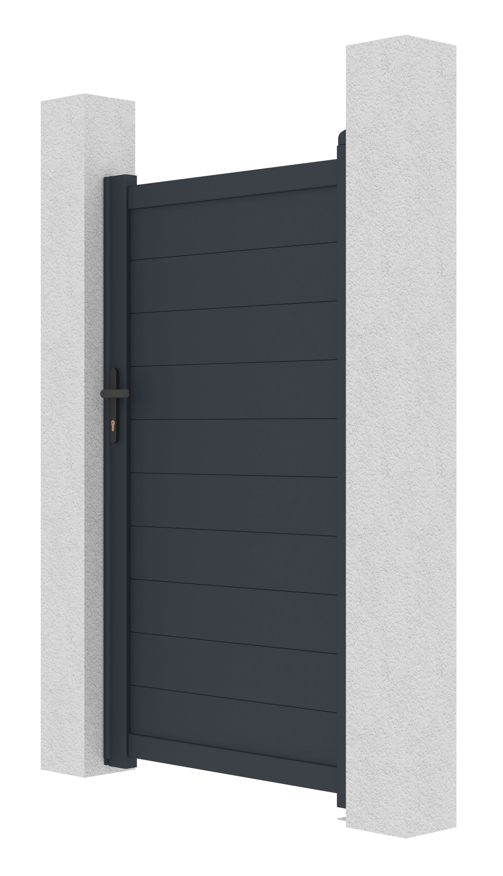 Image1