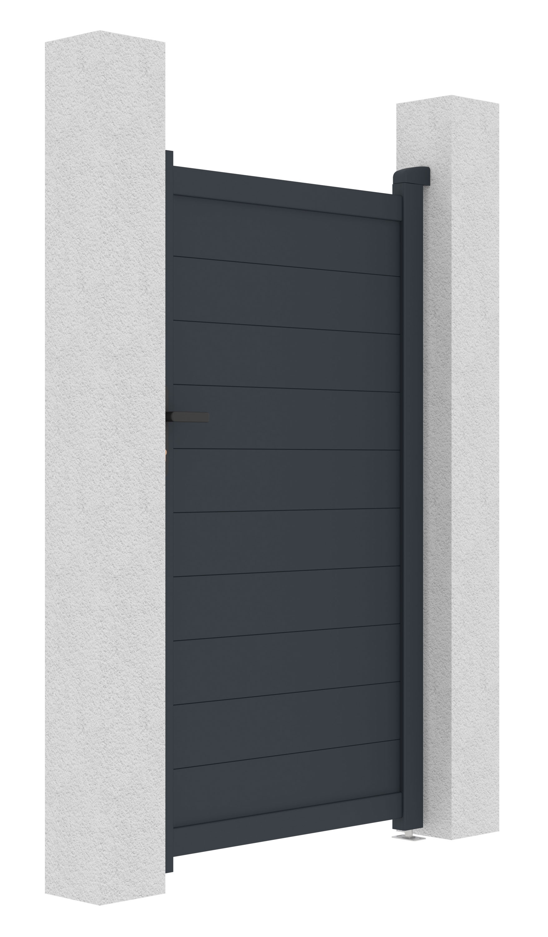 Image1