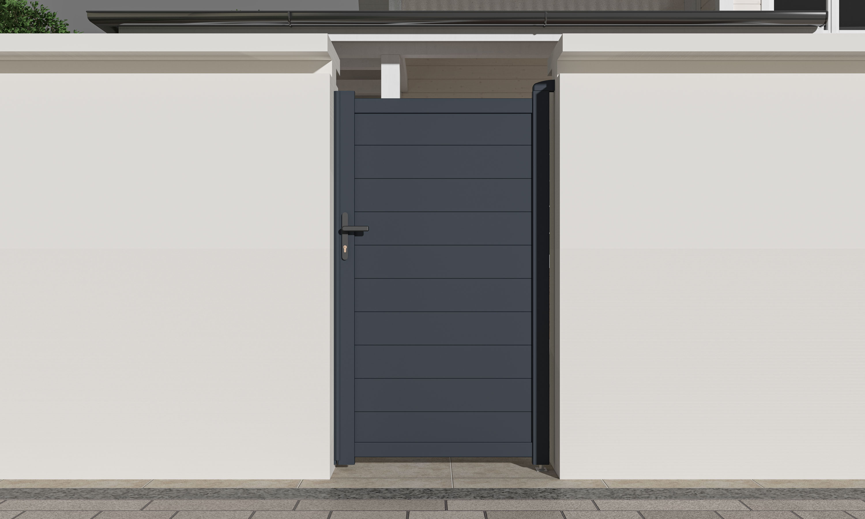 Image1