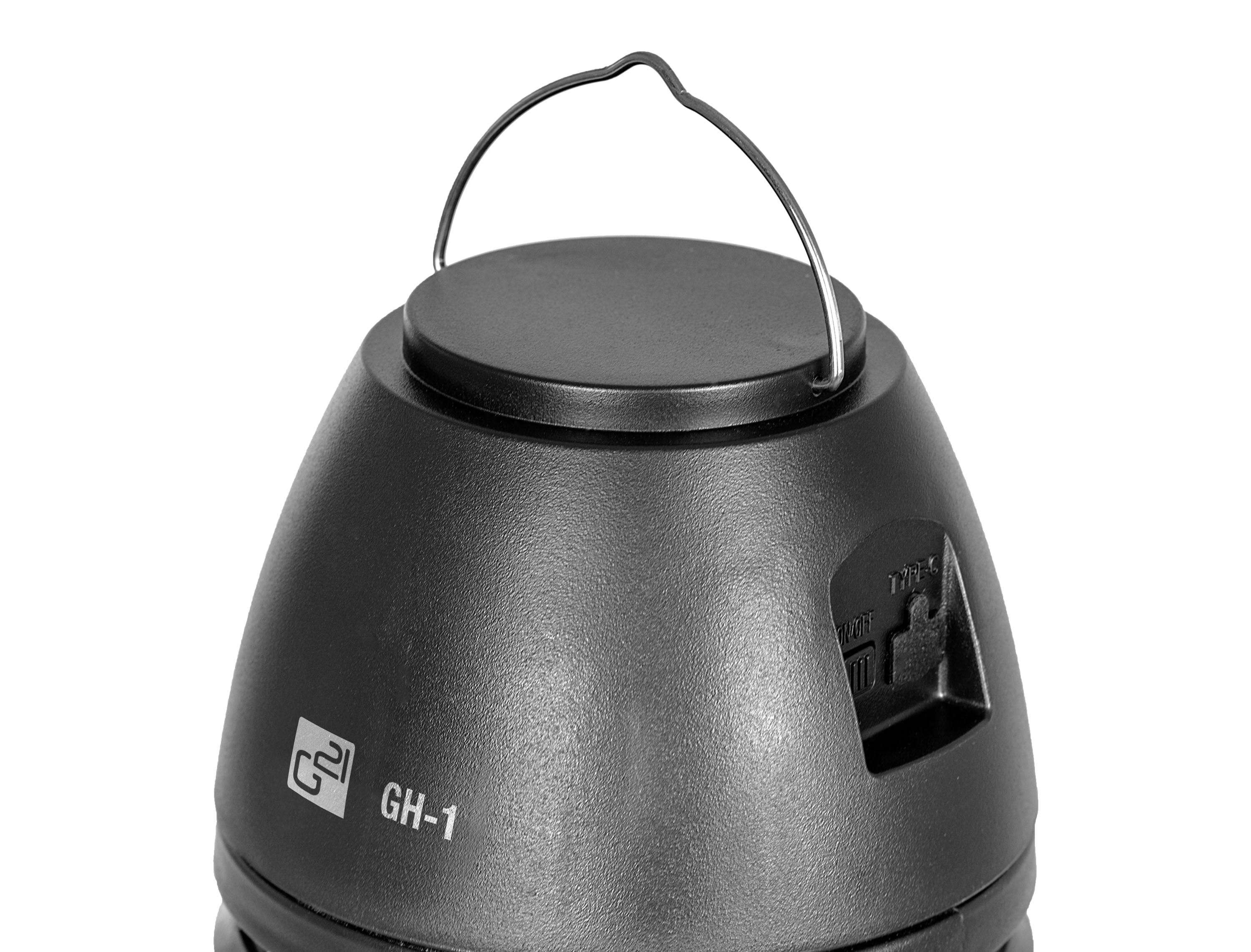 Image1