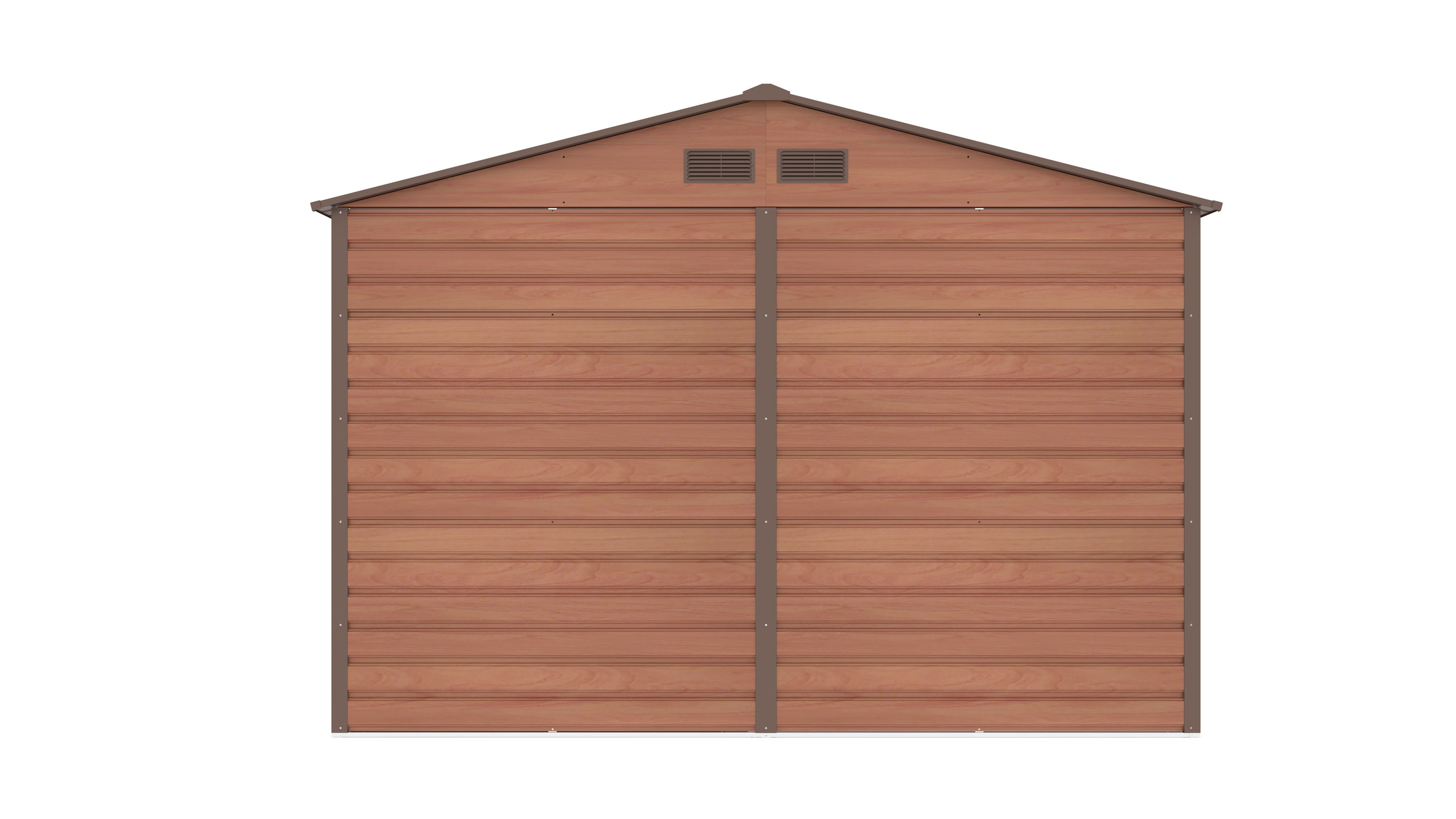 Image1
