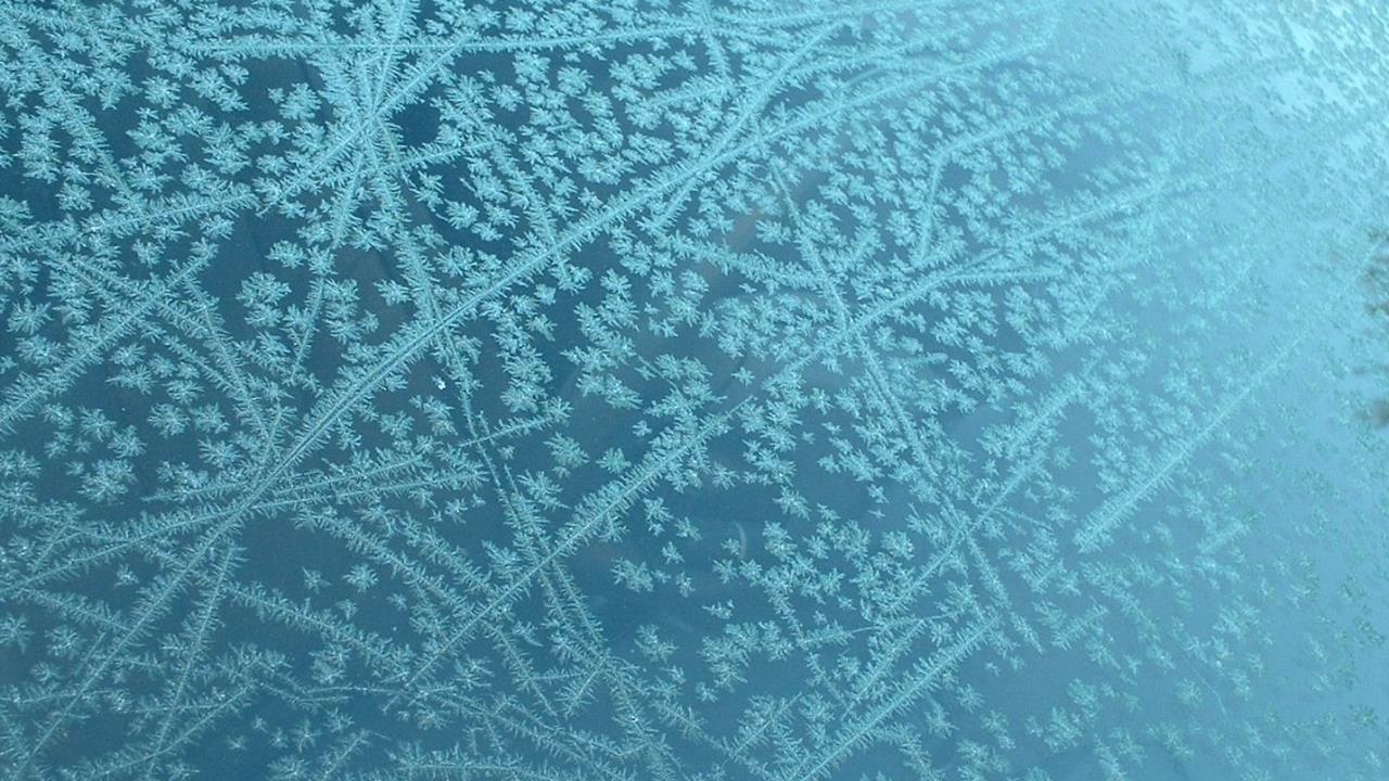 No Frost