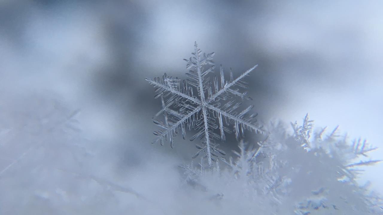 No Frost