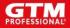 GTM PROFESSIONAL